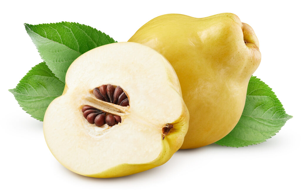 gutui taiate pe fundal alb