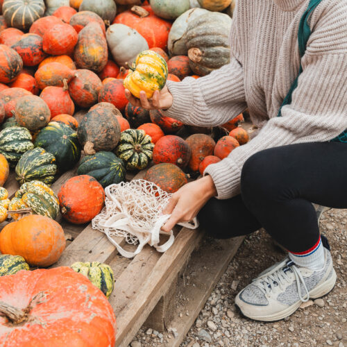 Imagine de aproape, femeie care caută o tărtăcuță într-o grămadă de diferite soiuri de dovleac
