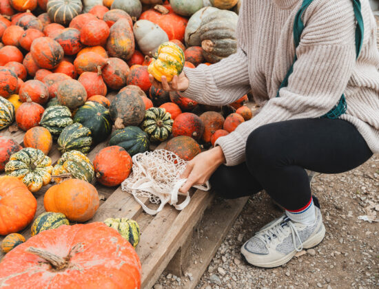 Imagine de aproape, femeie care caută o tărtăcuță într-o grămadă de diferite soiuri de dovleac