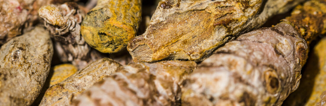radacini de ginseng close up