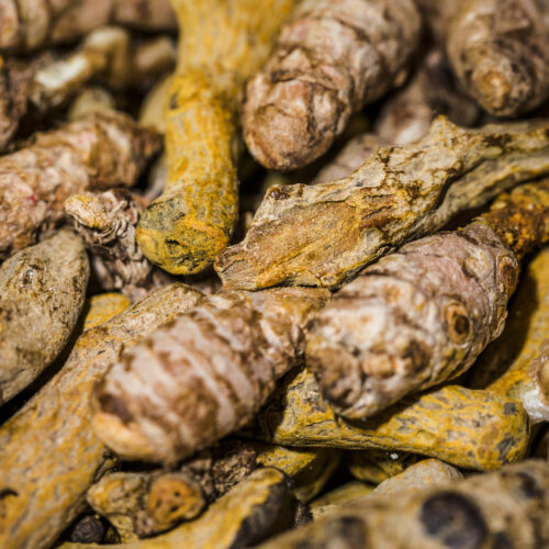radacini de ginseng close up