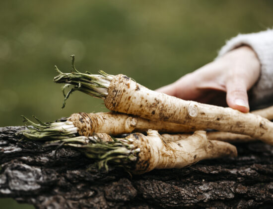 Legătură de hrean așezată pe o buturugă. Lângă, mâna unei persoane