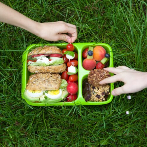 Imagine de sus, pacheețe sănătos penrtu școală așezat pe iarbă. Conține alimente integrale, potrivite pentru copii aflați în creștere.