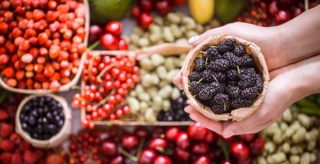 Imagine de sus, de aproape. Persoană care ține un coșuleț cu mure în palme, sursă naturală de resveratrol. Pe fundal, se observă coșuri și cutii cu fructe de pădure, alimente care conțin resveratrol