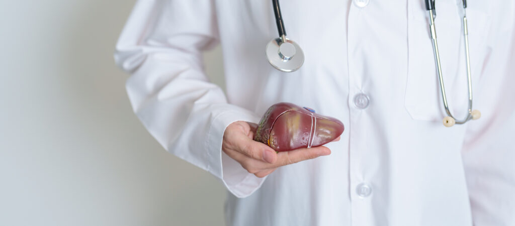 Imagine de aproape, medic ce ține o figură anatomică ce reprezintă un ficat
