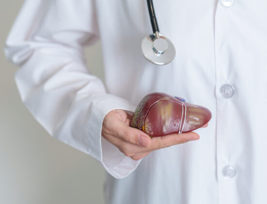 Imagine de aproape, medic ce ține o figură anatomică ce reprezintă un ficat