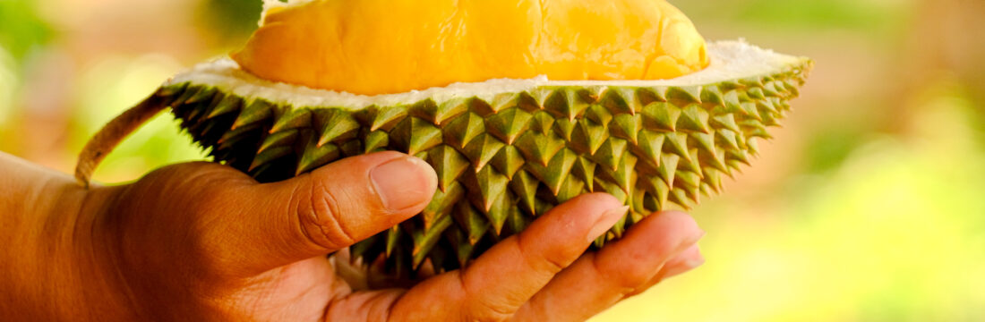 durian fruct in mana, jumatate decojit