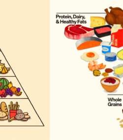 colaj piramida alimentara