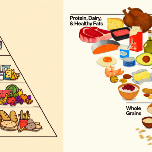 colaj piramida alimentara