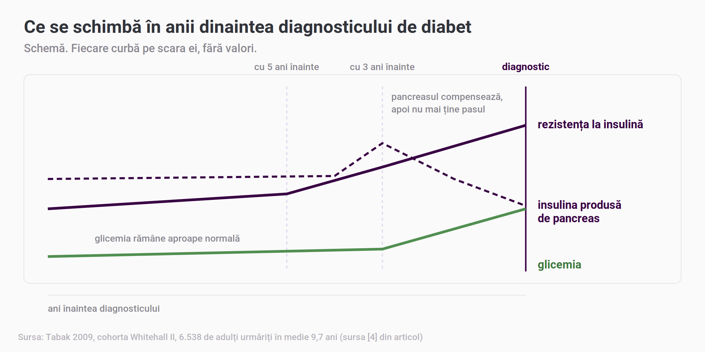 Schemă în timp a anilor dinaintea diagnosticului de diabet: rezistența la insulină crește mai abrupt în ultimii cinci ani, insulina produsă de pancreas urcă în jurul anului trei și apoi scade, iar glicemia urcă accentuat abia în ultimii trei ani