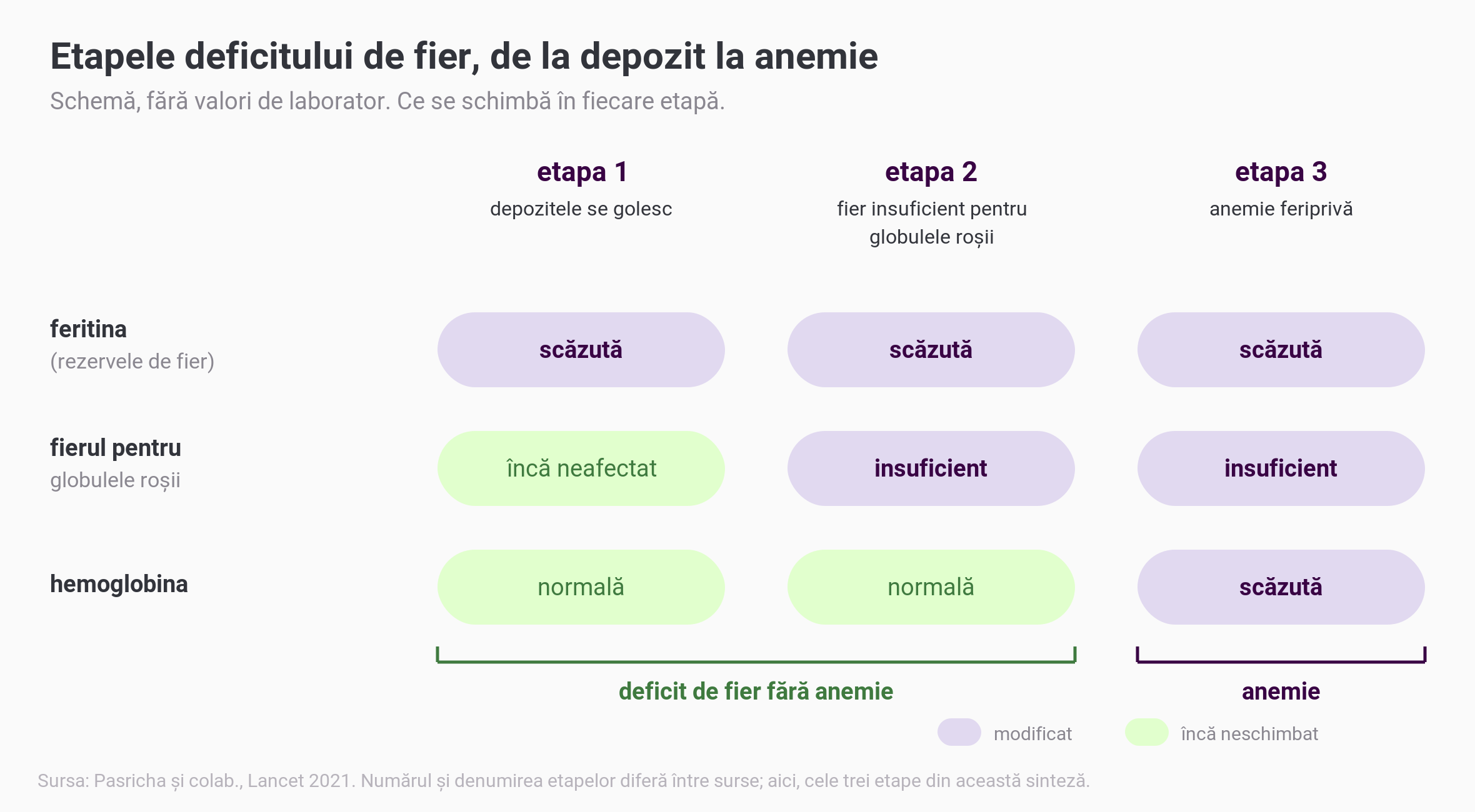Schemă fără valori cu cele trei etape ale deficitului de fier: în etapa 1 depozitele se golesc și feritina e scăzută, în timp ce hemoglobina e normală; în etapa 2 fierul ajunge insuficient la globulele roșii, iar hemoglobina e încă normală; în etapa 3 scade și hemoglobina și apare anemia feriprivă. Etapele 1 și 2 sunt marcate ca deficit de fier fără anemie, de aceea feritina scăzută poate apărea cu hemoglobina normală