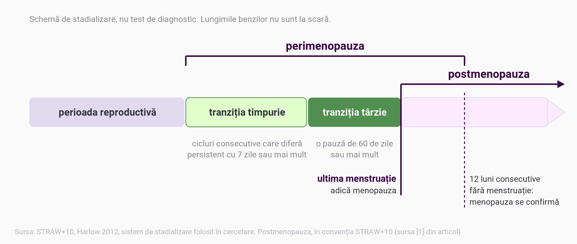 Schemă în linie a etapelor din jurul ultimei menstruații: perioada reproductivă, tranziția timpurie, cu cicluri consecutive care diferă persistent cu 7 zile sau mai mult, tranziția târzie, cu o pauză de 60 de zile sau mai mult, apoi ultima menstruație și postmenopauza. Perimenopauza se întinde de la începutul tranziției până la 12 luni după ultima menstruație